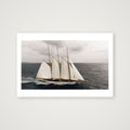 Windborne — 45×30cm Print only