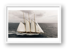 Windborne — framed
