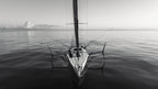 Oiled Seas - Black & White