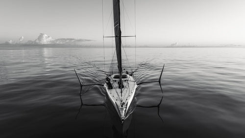 Oiled Seas - Black & White