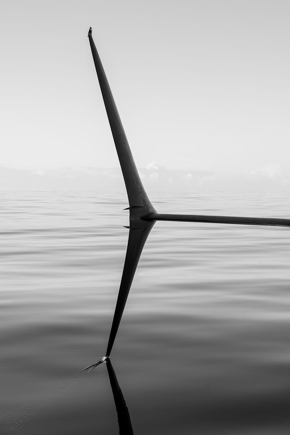 Without Wind