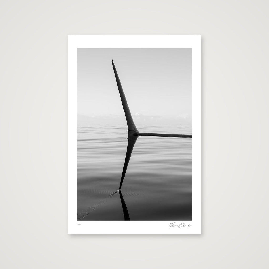 Without Wind — 30×45cm, 12×18" Print only