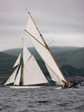 Timeless Pursuit